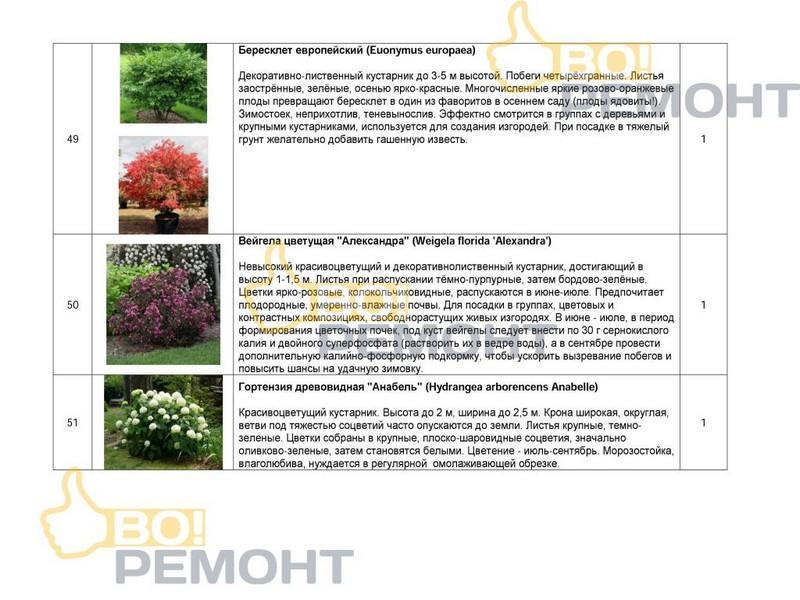 Проект благоустройства территории-102